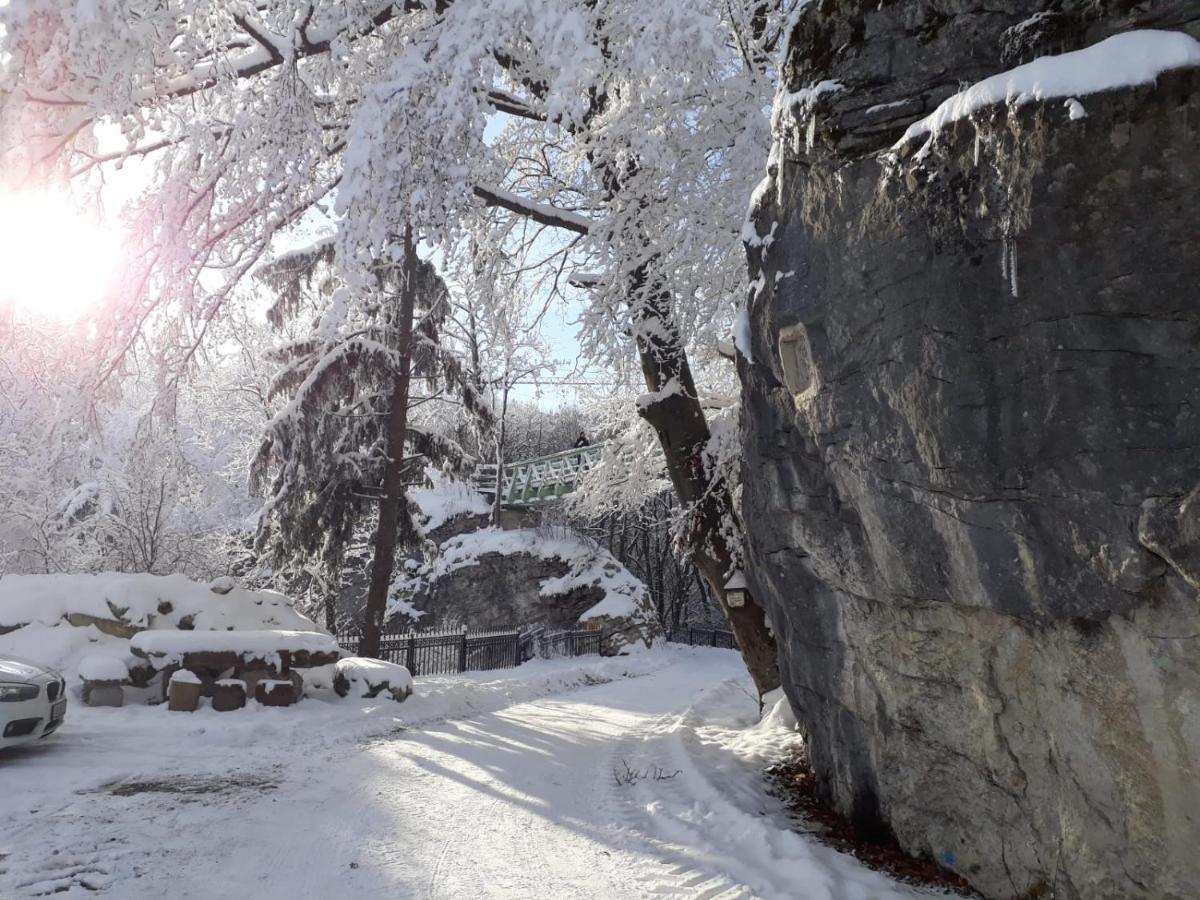 Burg Plankenstein Hotel Texing ภายนอก รูปภาพ
